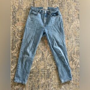 Everlane the curvy cheeky straight leg Jean